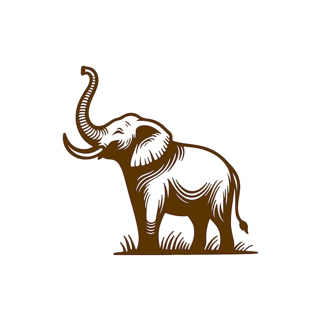 Vector ilustración del contorno del vinatge del elefante dibujado a mano