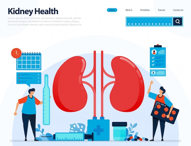 Ilustración para el control de la salud renal. enfermedades y trastornos del riñón.