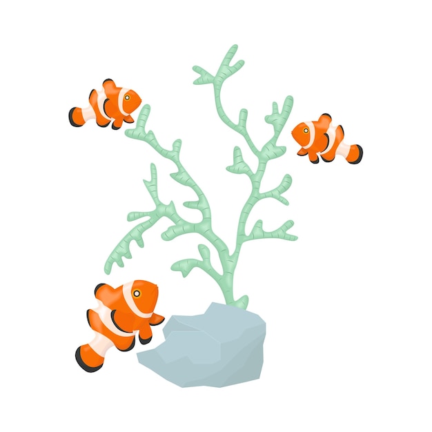 Vector ilustración de un coral