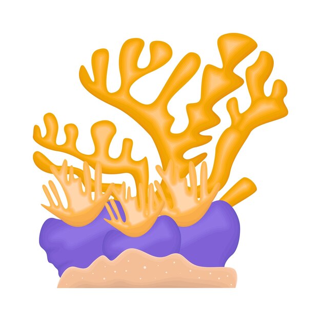 Vector ilustración de un coral