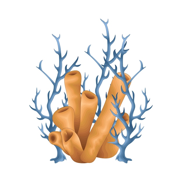 Vector ilustración de un coral