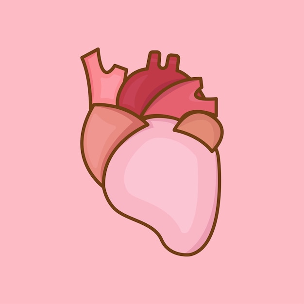 Ilustración del corazón