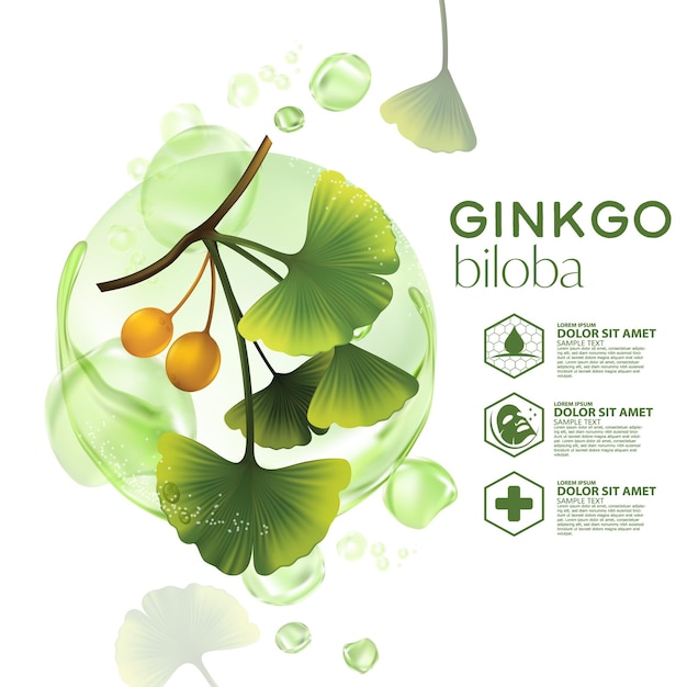 Ilustración cosmética realista con ingredientes ginkgo biloba skincare cosmetics