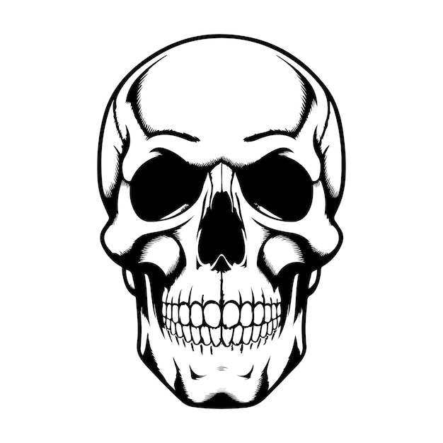 Ilustración de cráneo audaz y estilizada Perfecta para diseños de tatuaje Arte gráfico y temas de terror