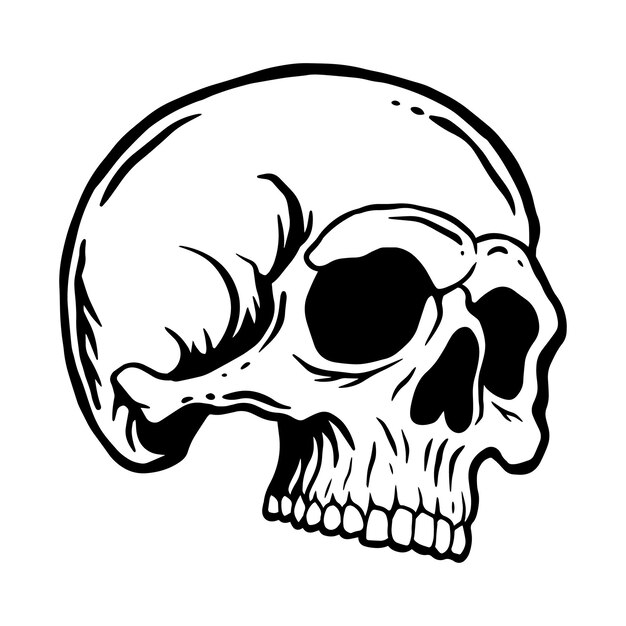 Ilustración de cráneo dibujada a mano para el diseño de ropa, pegatinas, tatuajes, etc.