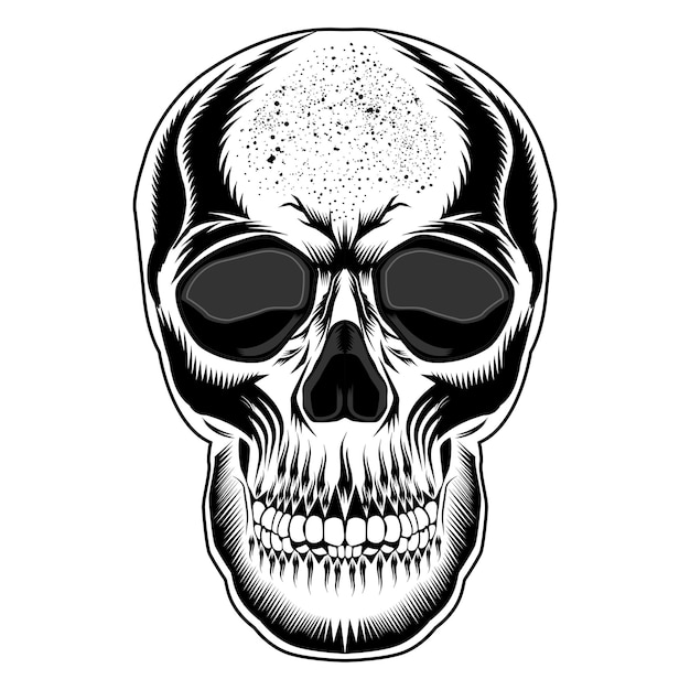 Ilustración de cráneo humano