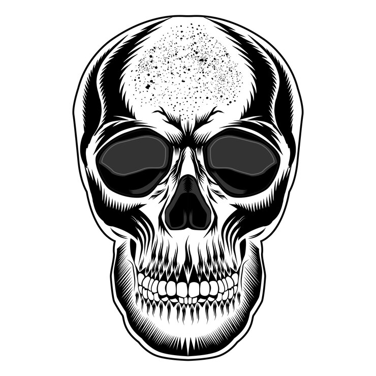 Ilustración de cráneo humano