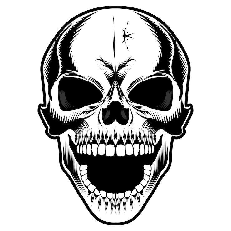 Ilustración de cráneo humano