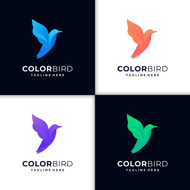 ilustración creativa colibrí logo degradado