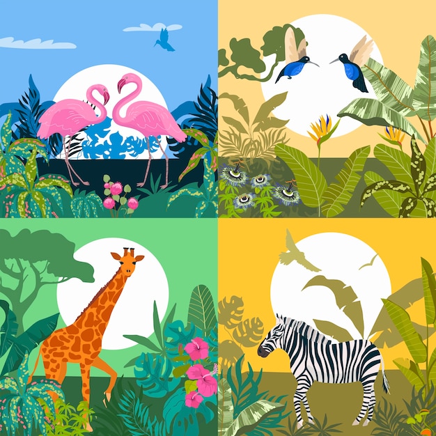 Vector ilustración cuadrada de flora y fauna exótica plana dibujada a mano con animales silvestres y plantas tropicales