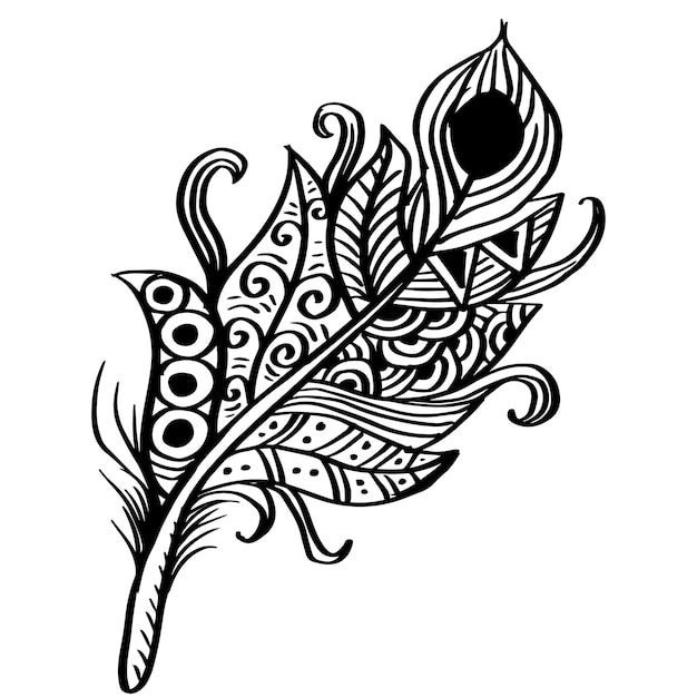 Ilustración decorativa de plumas dibujadas a mano.