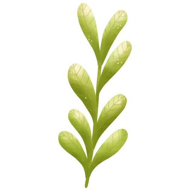 Ilustración de la delicada rama de hojas verdes