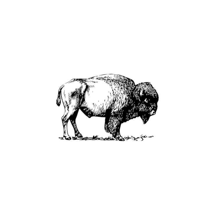 Vector ilustración detallada del bisonte en icono vectorial en blanco y negro