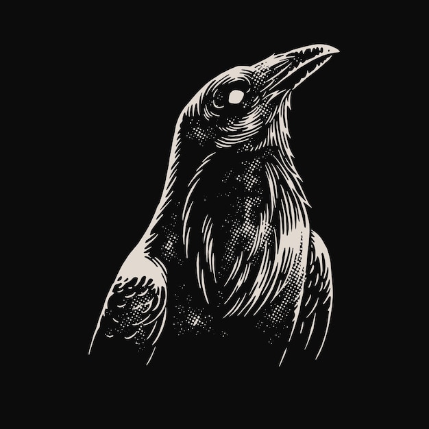 Ilustración detallada de la cabeza del cuervo de cerca