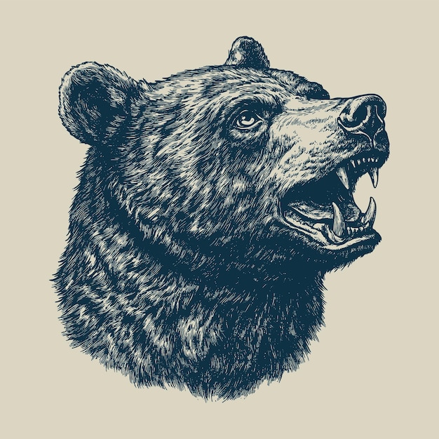 Ilustración detallada de la cabeza de oso estilo de dibujo a mano