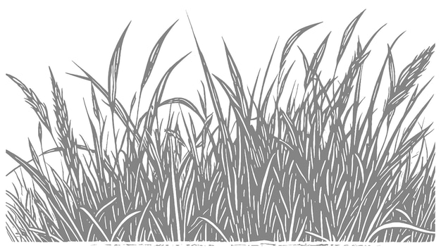 Ilustración detallada dibujada a mano de hierba alta balanceándose en el viento