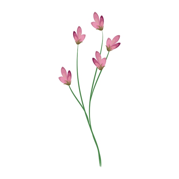 Ilustración detallada de la flor en acuarela Elegante flor de primavera en aquarela