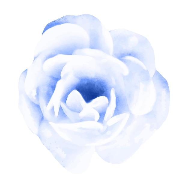 Ilustración detallada de la flor en acuarela Elegante flor de primavera en aquarela