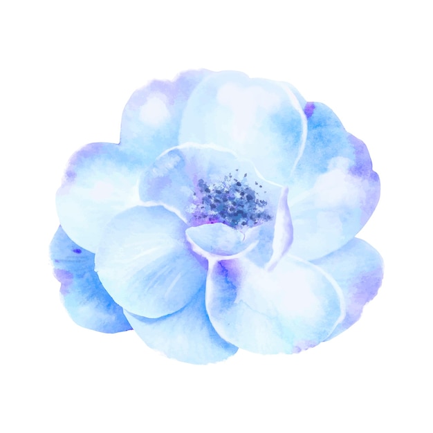 Ilustración detallada de la flor en acuarela Elegante flor de primavera en aquarela
