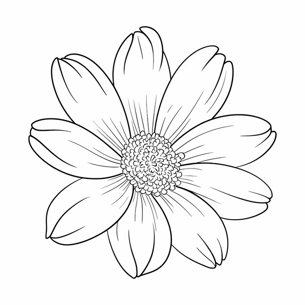 Ilustración detallada de flores en blanco y negro
