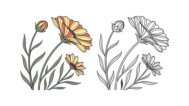 Ilustración detallada de flores en flor con pétalos y tallos de colores