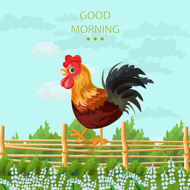 Ilustración detallada de gallo