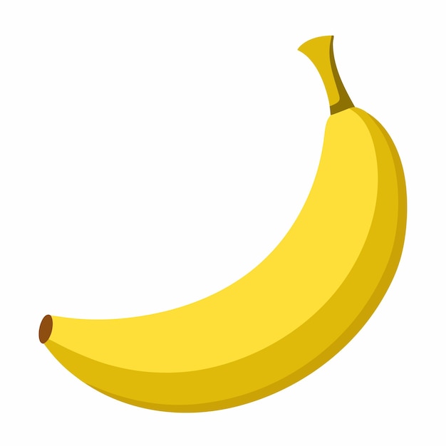 Ilustración detallada de plátano diseño vectorial de la fruta del plátano
