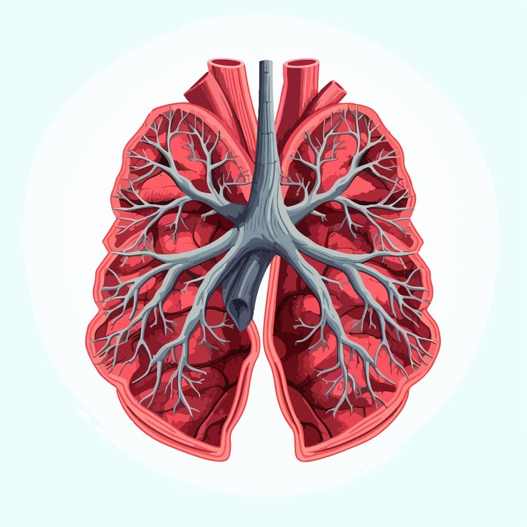 Ilustración detallada de los pulmones humanos para los profesionales médicos