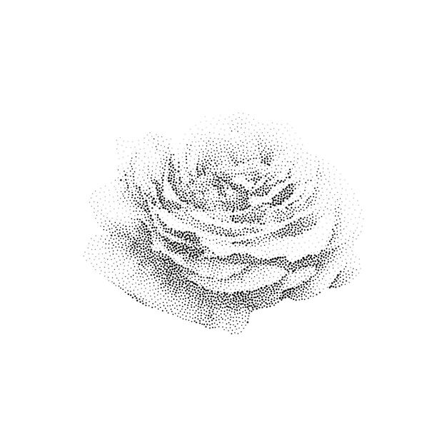 Ilustración detallada de una rosa moteada en blanco y negro