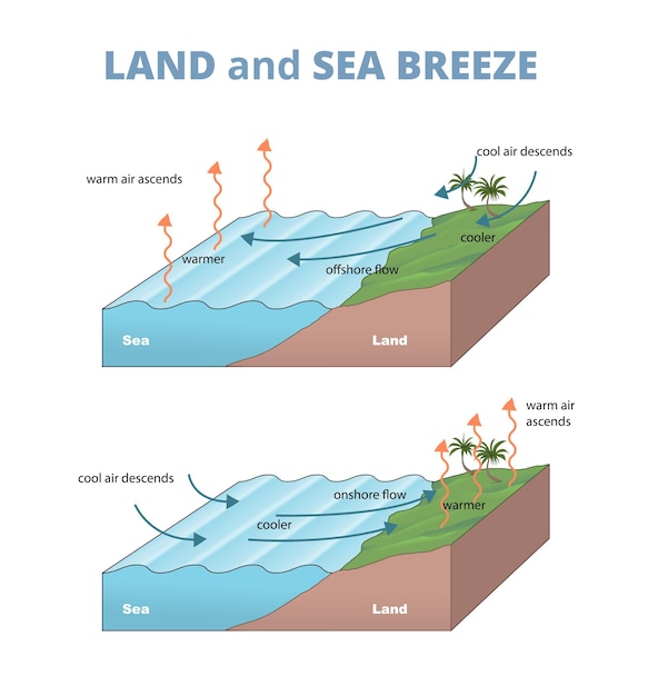 Ilustración del diagrama de la brisa terrestre y marina