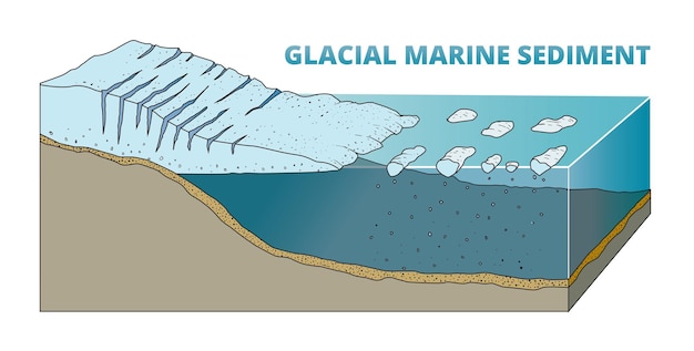 Vector ilustración del diagrama de sedimentos marinos glaciales