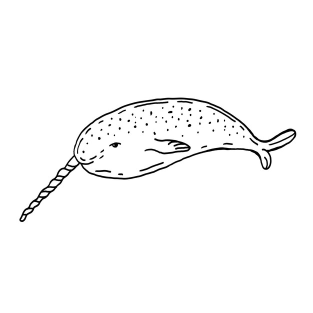 Ilustración dibujada a mano del animal marino salvaje del ártico narwhal