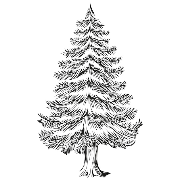 Vector ilustración dibujada a mano del árbol de navidad arte grabado vintage enfoque de diseño honrado por el tiempo para fes