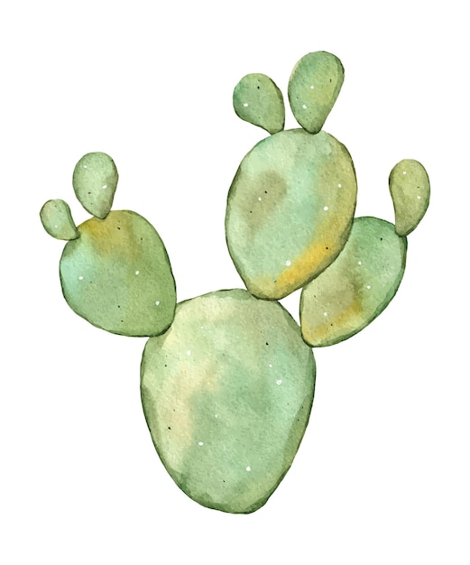 Ilustración dibujada a mano con cactus acuarela