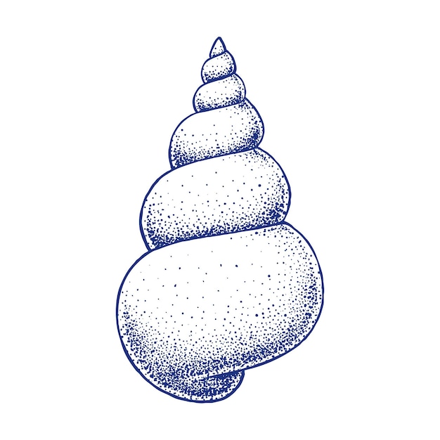 Ilustración dibujada a mano de caracol o concha