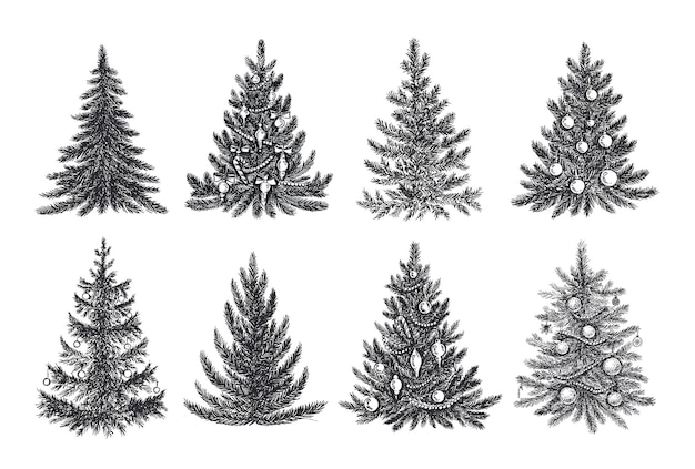Ilustración dibujada a mano del conjunto de árboles de Navidad