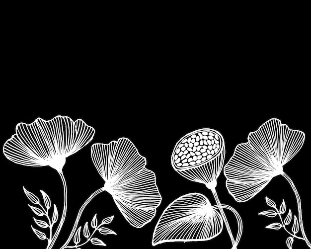 Ilustración dibujada a mano contorno sombreado amapolas blancas flores sobre fondo negro