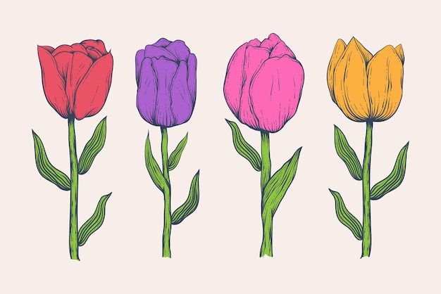 Vector ilustración dibujada a mano de flor de tulipán aislada