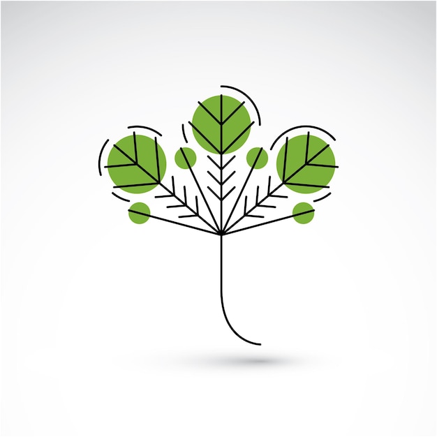 Ilustración dibujada a mano de una hoja de árbol simple aislada. Follaje verde, hierba de primavera. El símbolo botánico vectorial se puede utilizar como elemento de diseño en el tema de la conservación de la ecología.
