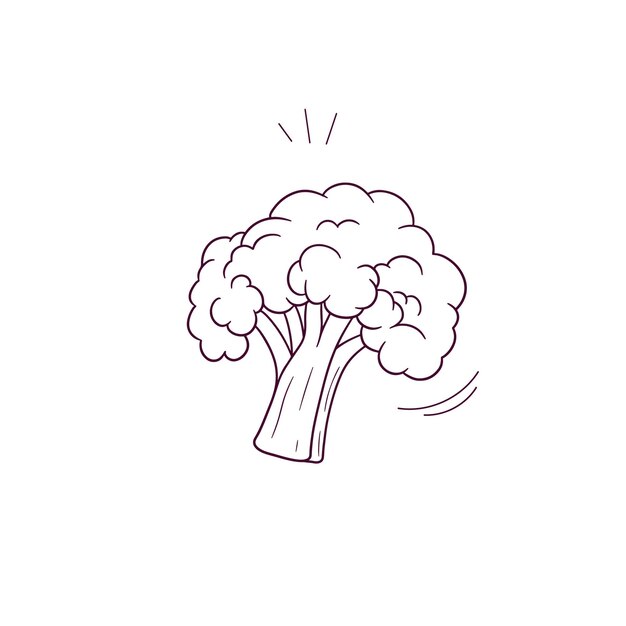 Ilustración dibujada a mano del icono del brócoli Ilustración de boceto vectorial de Doodle