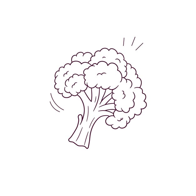 Ilustración dibujada a mano del icono del brócoli Ilustración de boceto vectorial de Doodle