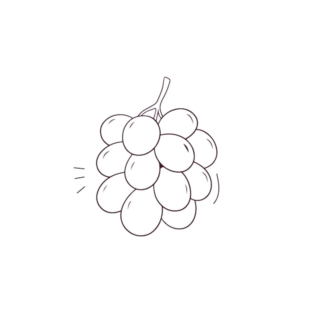 Vector ilustración dibujada a mano del icono de las uvas ilustración de boceto vectorial de doodle