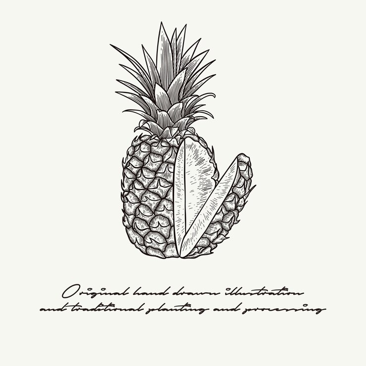 Vector ilustración dibujada a mano de la piña en estilo de grabado