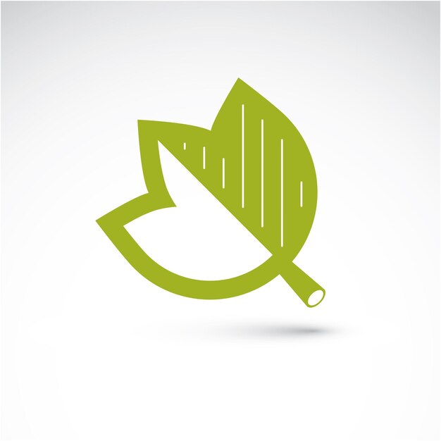 Ilustración dibujada a mano de una simple hoja de arce aislada. Follaje verde, hierba de primavera. El símbolo botánico vectorial se puede utilizar como elemento de diseño en el tema de la conservación de la ecología.