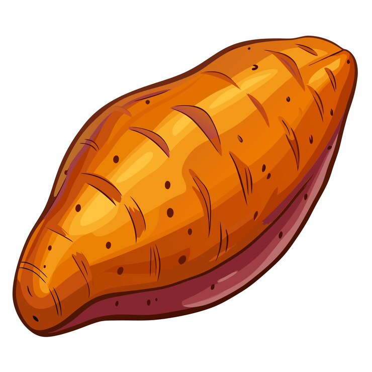 Vector ilustración dibujada a mano por el vector de la patata dulce fresca