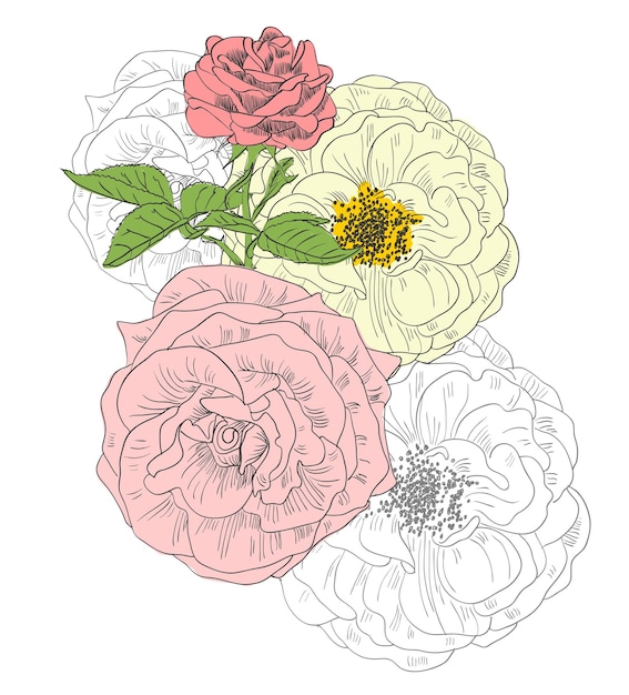 ilustración dibujada a mano