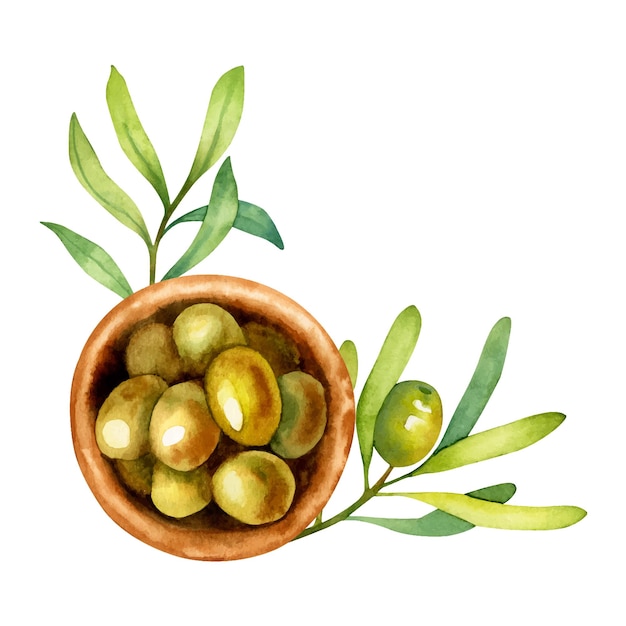 Ilustración de dibujado a mano de acuarela de un cuenco con aceitunas verdes y rama de olivo aislado