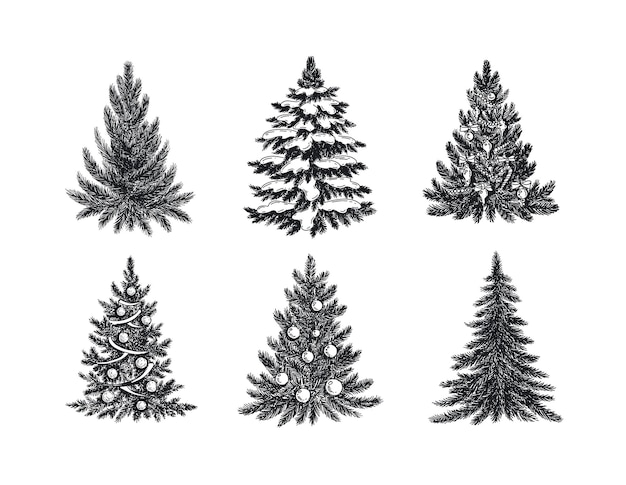 Ilustración de dibujado a mano de árbol de navidad
