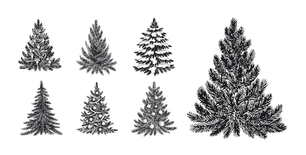 Ilustración de dibujado a mano de árbol de navidad