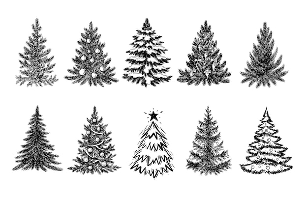 Ilustración de dibujado a mano de árbol de navidad